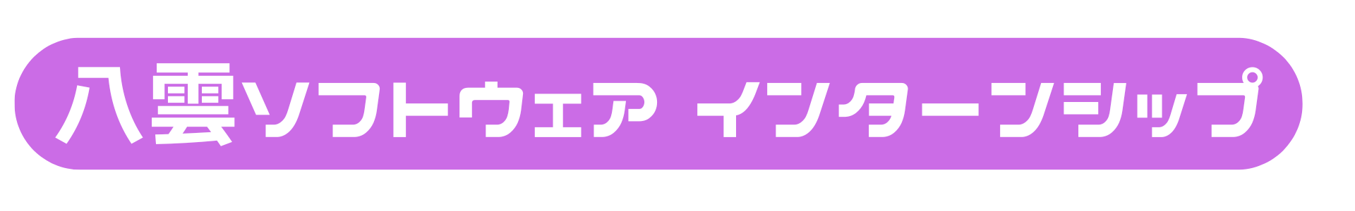 八雲ソフトウェア　インターンシップと表示